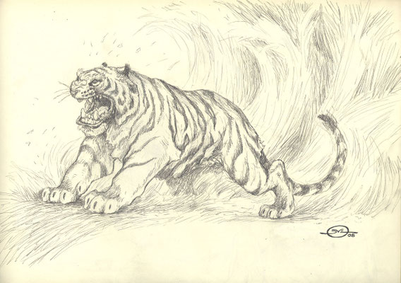 Benjamin von Eckartsberg - Character Design - Maneater/ Tiger - Freie Arbeit