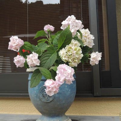 for my mother・・・
