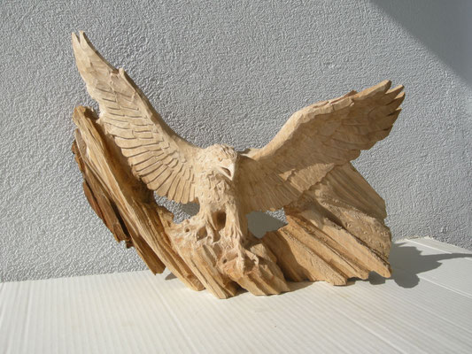 Adler Paul Widmer