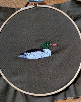 männlicher Gänsesäger von @echtkeine