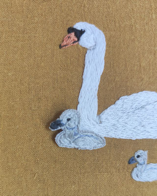 Höckerschwäne von @eltendederodelacurruquita - ein Küken hat Marta mit Hilfe der stumpwork-Technik 3-dimensional gestaltet