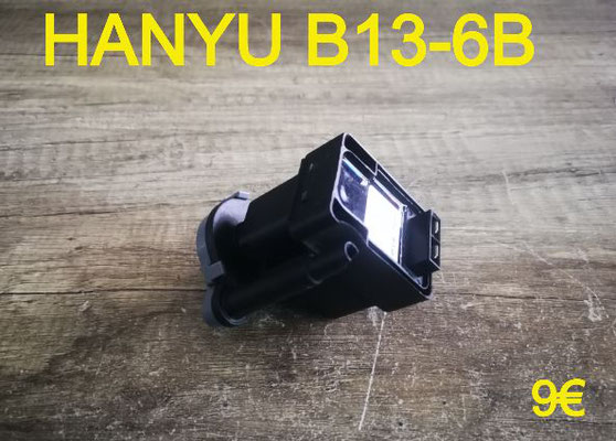 POMPE DE RELEVAGE : HANYU B13-6B