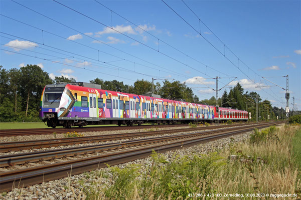 Der "Zug der Vielfalt" der S-Bahn München (423 286) fährt am 10. August 2023 gemeinsam mit 423 160 auf der Linie S6 und erreicht gleich Zorneding.