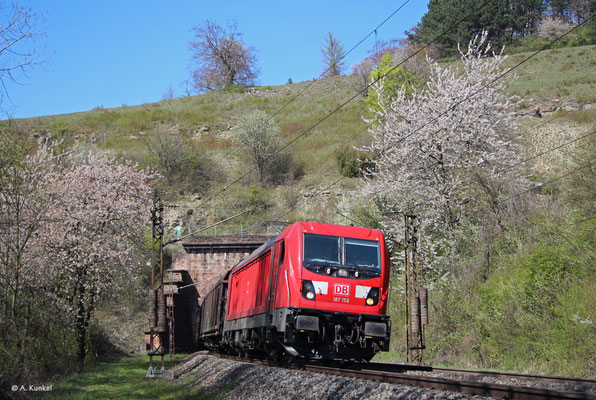 187 159 am 16. April 2019 bei Elm.