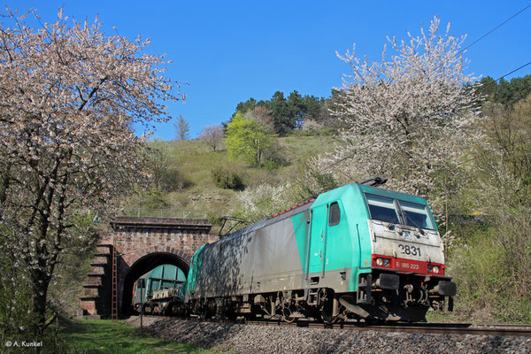 186 223 am 16. April 2019 bei Elm.