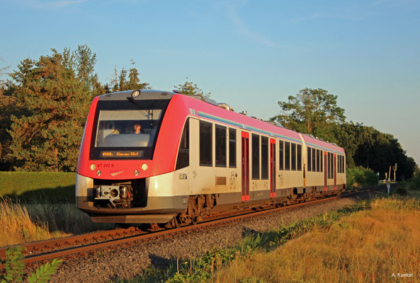 VT 202 der Vias am 06. August 2020 bei Hainburg-Hainstadt.