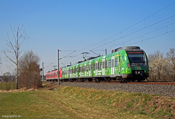 Am 23. März 2022 hat sich der Werbe-430 145 bzw. 645 gemeinsam mit dem 430 109 als S 35132 vor wenigen Minuten in Rödermark Ober-Roden auf den Weg gen Wiesbaden gemacht.