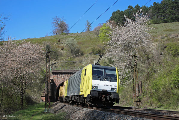 ES 64 F4-203 (189 203) am 16. April 2019 bei Elm.