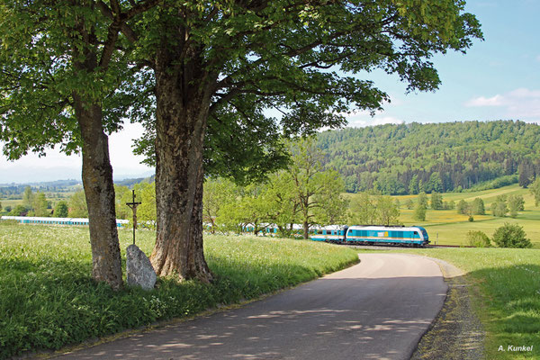 223 069 fährt am 11. Mai 2018 mit ALX 84137 / 84157 bei Ellenberg durch das Allgäu.