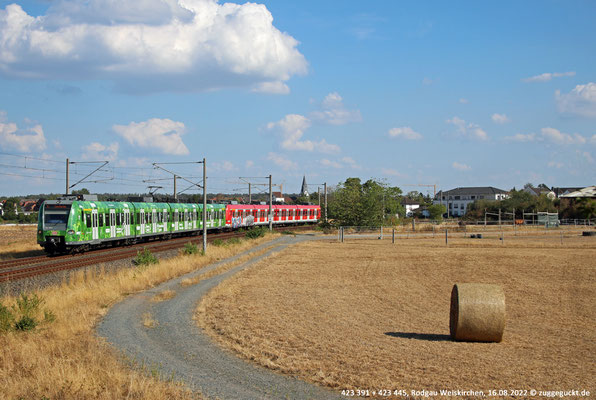 Am 16. August 2022 sind mit 423 391 und 423 445 außerplanmäßig zwei 423er auf der S1 unterwegs. 423 391 führt in Weiskirchen S 36146 an.