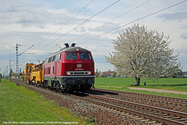 Am 19. April 2023 ist 218 155 der NeSA mit zwei Gleisbaumaschinen unterwegs von Koblenz nach Waigolshausen. In Babenhausen wird der blühende Fotobaum passiert.