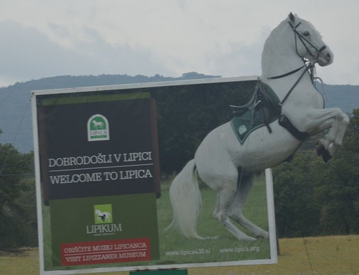 Gestüt Lipica (Slowenien)