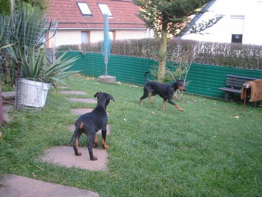 Barclay zu Besuch bei "vom Heibeck"