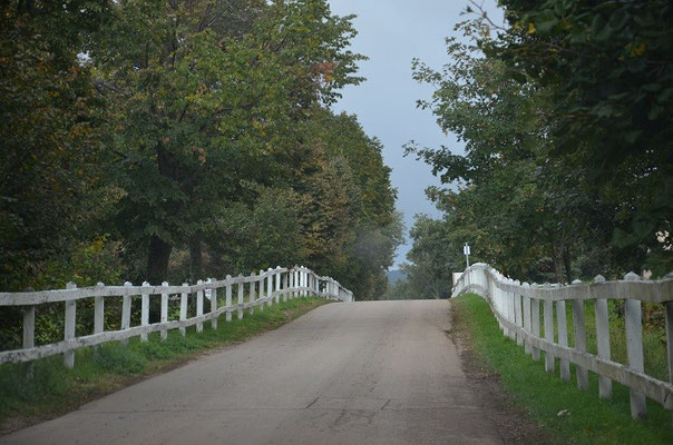 Gestüt Lipica (Slowenien)