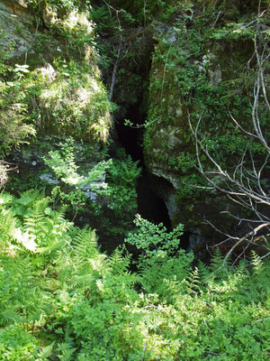 TI 382 I Sacch, ingresso