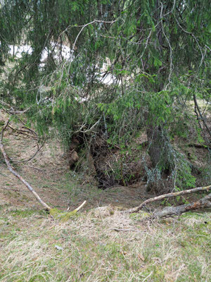 TI 383 Grotta delle Scandole, ingresso