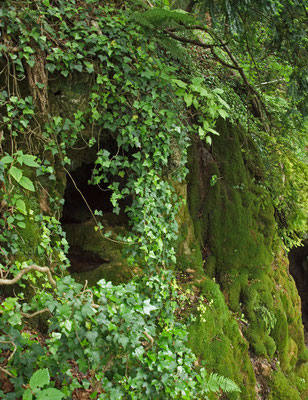 TI 230 Grotta a Sud di Albio, ingresso