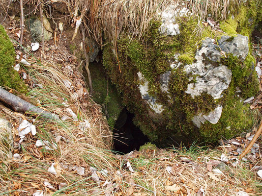 TI 225 Buco di Sermonte, ingresso