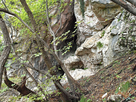 TI 202 Grotta Sopra Bogo I, ingresso