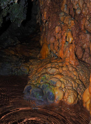 Grotta a Sud di Albio / Monte San Giorgio