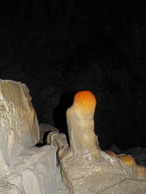 Grotta Antigua (Monte San Giorgio)