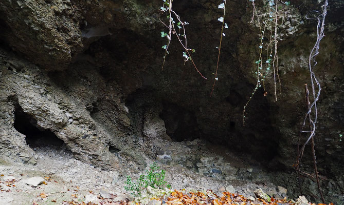 TI _ La Crotta di Valserrata, ingresso