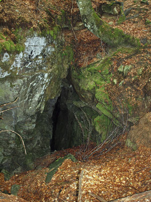 TI 356 Grotta della Forca II, ingresso