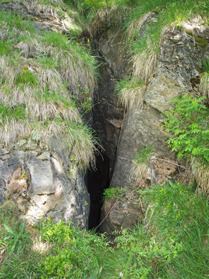 TI 375 Pozzo della Rosa Canina, ingresso
