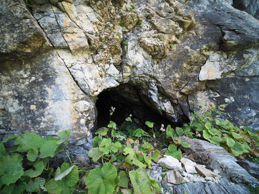 TI 270 Cunicolo Sopra il Buco del Zött, ingresso