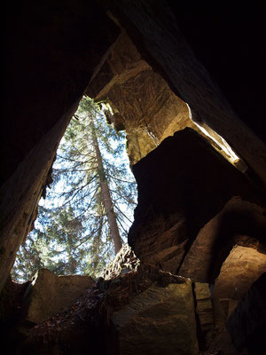 TI 355 Grotta della Forca I, ingresso dall'interno