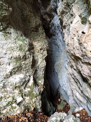 TI 237 Grotta Costa di Prabello II, ingresso