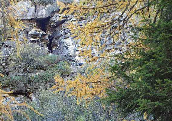 TI 334 Grotta del Sasso della Scighegna II, ingresso in parete