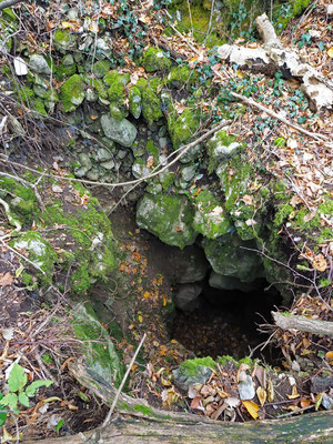 TI 219 Pozzo dell'Agrifoglio, ingresso