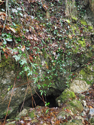 TI 179 Sorgente Bòch, ingresso