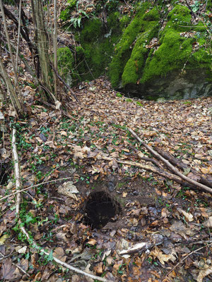 TI 222 Grotta Twister, ingresso