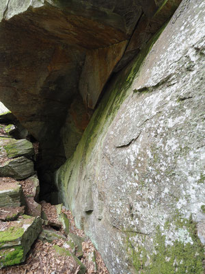 TI 346 Sasso del Rio I, ingresso