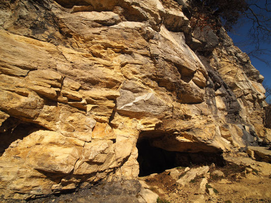Buco della Volpe 1, ingresso