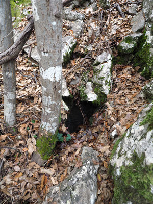 TI 213 Buca delle Querce, ingresso