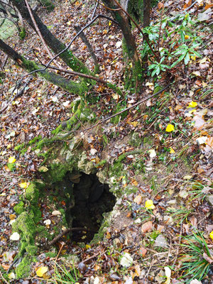 TI 228 Pozzetto della Dafne, ingresso