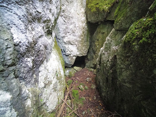 TI 177 Caverna del Torrione, ingresso prima parte