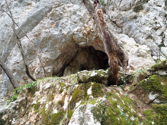 Ti 236 Grotta Costa di Prabello I, ingresso