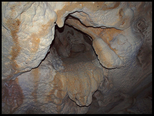 Grotta della Corte di Genova: soffitto