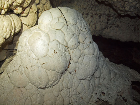 Grotticella dietro la Cascata