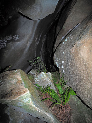 TI La Grotta del Grande Orecchino a Cerchio, subito dopo l'ingresso