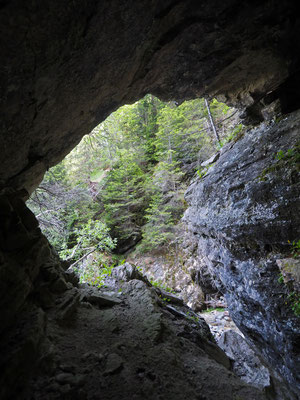 TI 319 Grotta Presso il Ri Scuro, ingresso dall'interno
