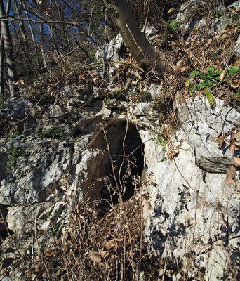 TI 220 Monte Cristo, ingresso