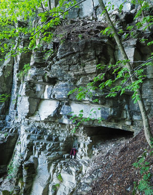TI 198 Grotta a Sud della Quota 1120 m, ingresso