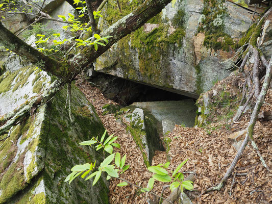 TI 347 Sasso del Rio II, ingresso