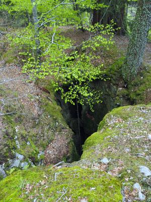 TI 351 Praveda III, ingresso