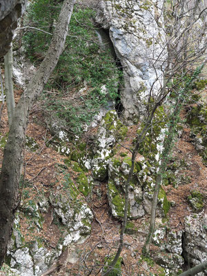TI 238 Grotta Costa di Prabello III, ingresso